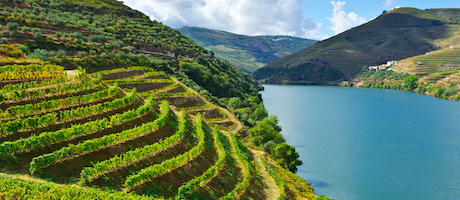 terroir
