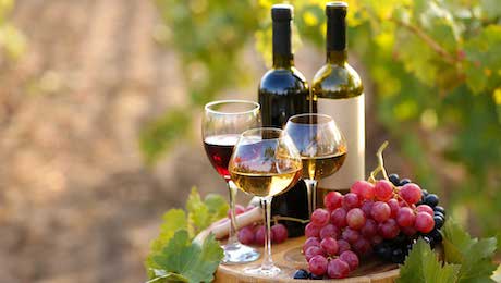 produtores de vinhos